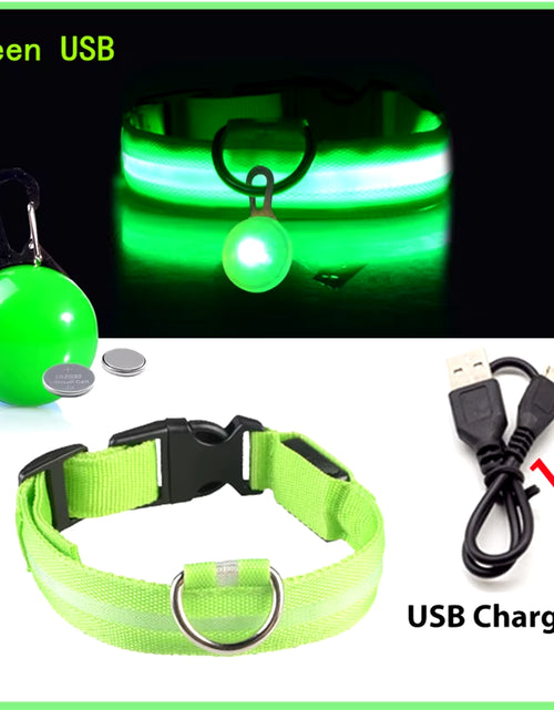 Load image into Gallery viewer, Usb Charging Glowing Dog Collar with Pendant Detachable Luxury Led Light Bright for Small Dogs Cat Night Safety Collar Wholesale
