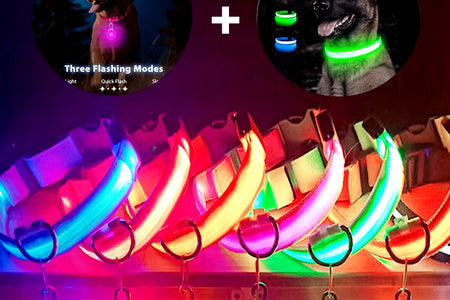 Usb Charging Glowing Dog Collar with Pendant Detachable Luxury Led Light Bright for Small Dogs Cat Night Safety Collar Wholesale