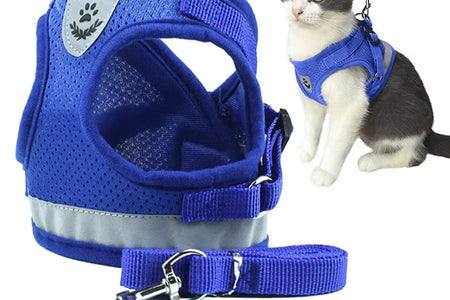 Reflective Dog Harness with Leash Adjustable Pet Harnesses Vest for Small Medium Dog Soft Outdoor Breathable Puppy Chest Strap