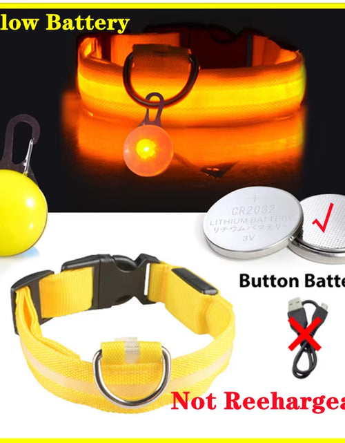Load image into Gallery viewer, Usb Charging Glowing Dog Collar with Pendant Detachable Luxury Led Light Bright for Small Dogs Cat Night Safety Collar Wholesale
