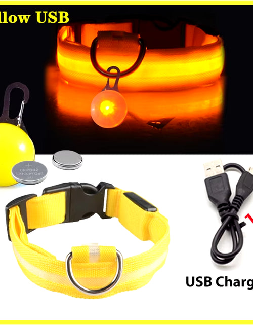 Load image into Gallery viewer, Usb Charging Glowing Dog Collar with Pendant Detachable Luxury Led Light Bright for Small Dogs Cat Night Safety Collar Wholesale
