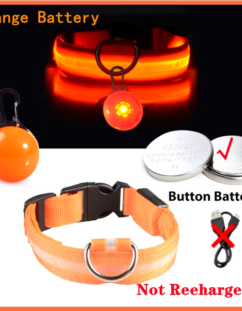 Load image into Gallery viewer, Usb Charging Glowing Dog Collar with Pendant Detachable Luxury Led Light Bright for Small Dogs Cat Night Safety Collar Wholesale
