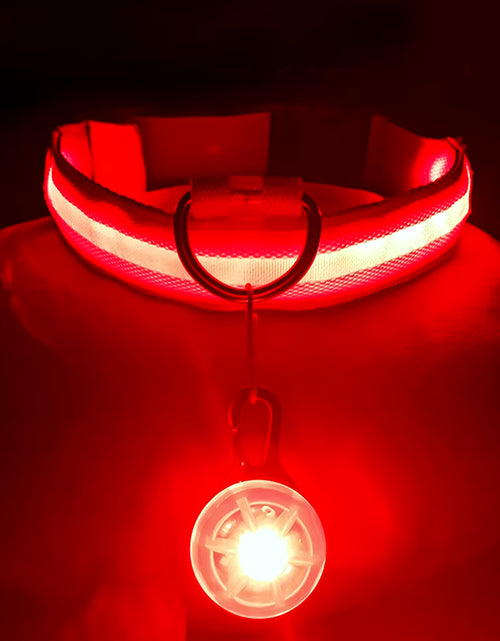 Load image into Gallery viewer, Usb Charging Glowing Dog Collar with Pendant Detachable Luxury Led Light Bright for Small Dogs Cat Night Safety Collar Wholesale
