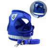 Blue (173_100014064)